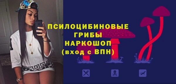 гидропоника Гусев