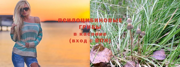 гидропоника Гусев