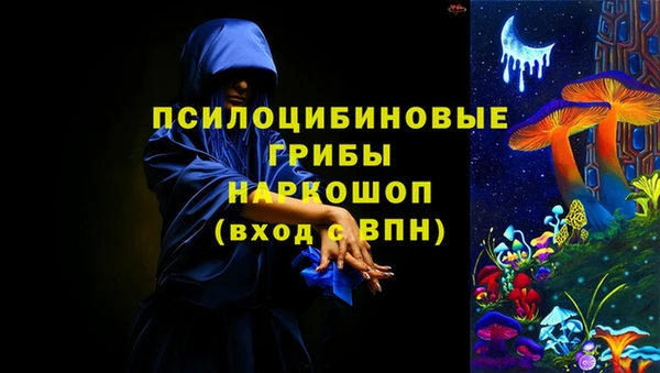 гидропоника Гусев