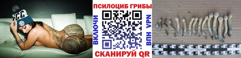 Купить где  Магадан  Псилоцибиновые грибы прущие грибы 